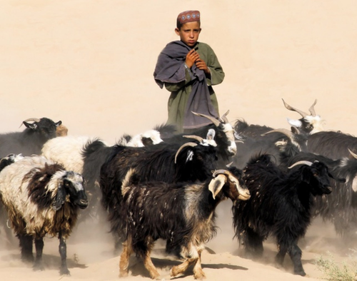 RISE youth empowerment initiative in Balochistan