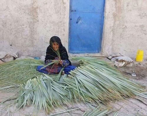 RISE livelihood development initiative in Balochistan