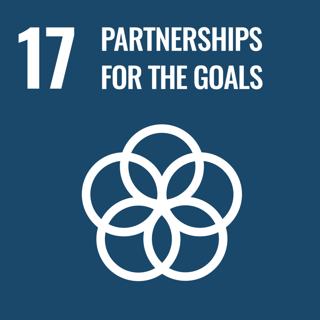 SDG 17 Partnerships for the Goals and RISE development initiative