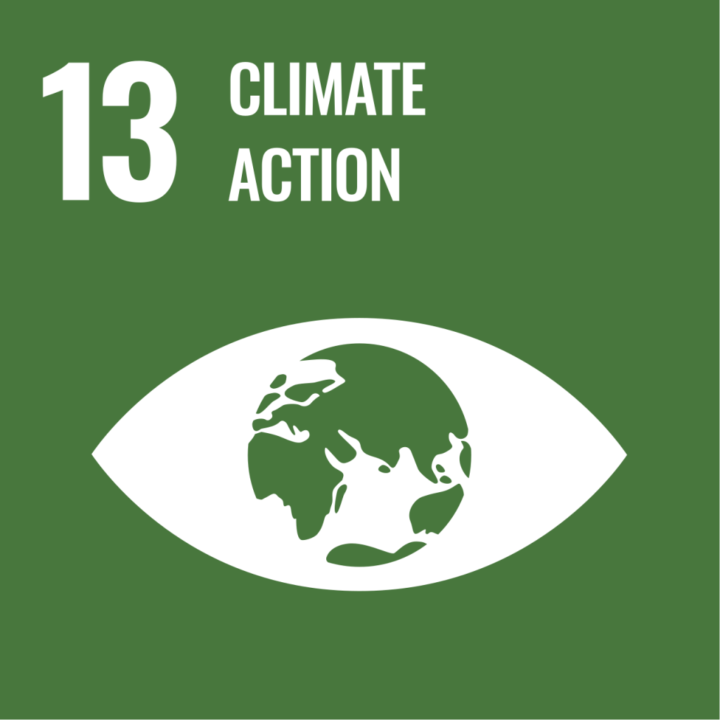 SDG 13 Climate Action and RISE development initiative