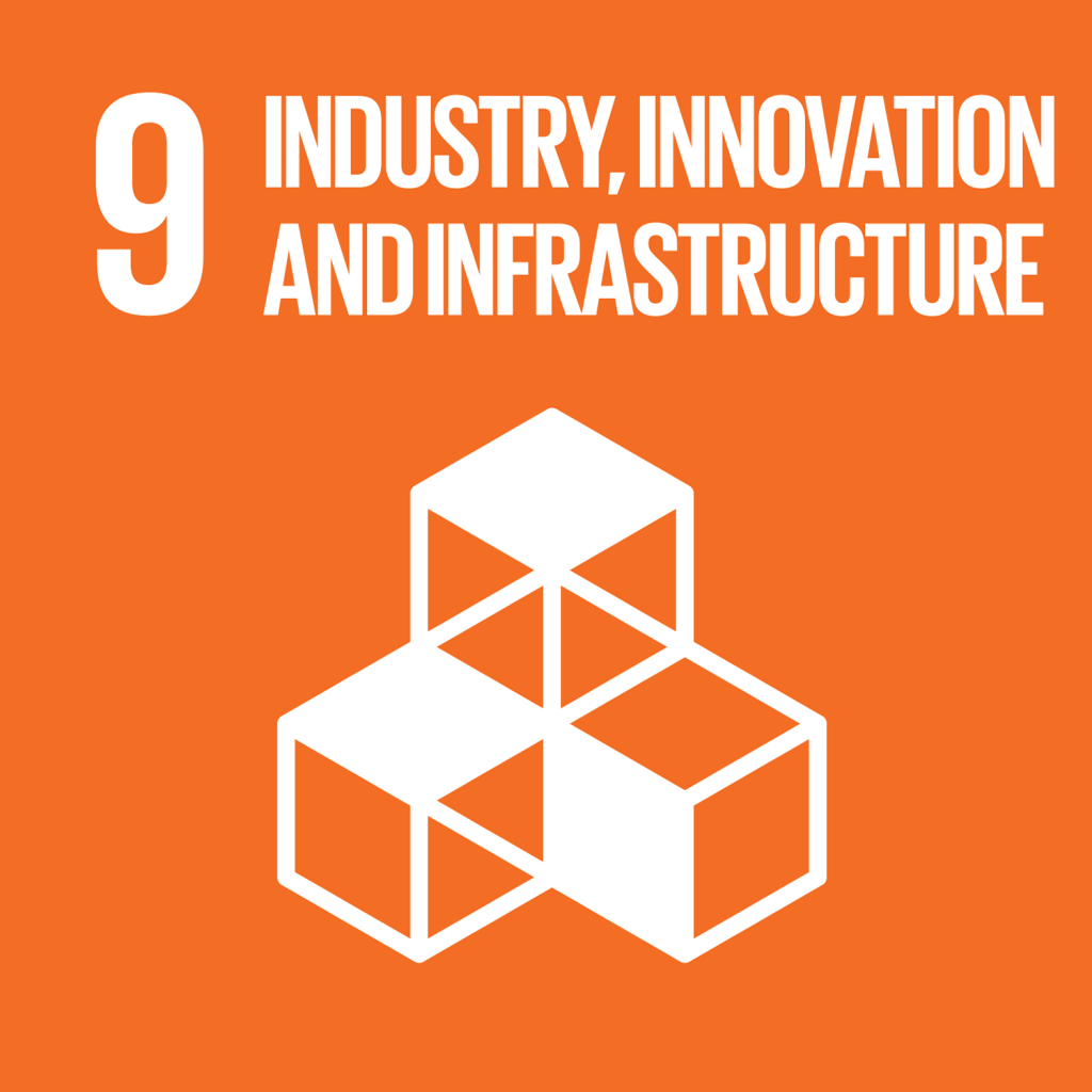 SDG 9 Industry Innovation and Infrastructure and RISE development initiative